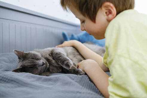 Boy petting cat lying on bed at home - ELMF00050
