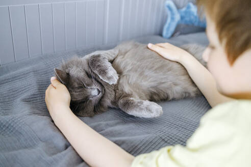 Boy taking care of cat relaxing on bed at home - ELMF00052