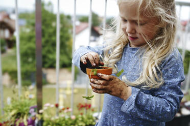 Girl with messy hands planting herbs in balcony - NSTF00011