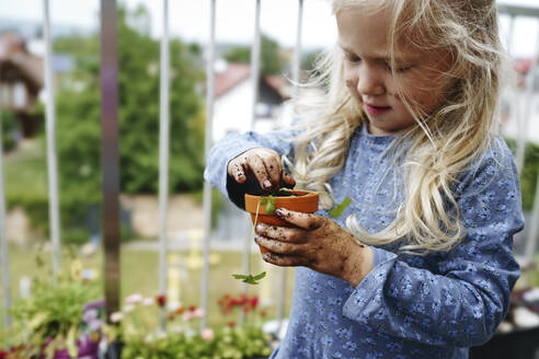 Mädchen mit unordentlichen Händen pflanzt Kräuter auf dem Balkon - NSTF00011