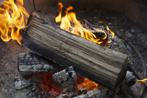 USA, Tennessee, Pittman Center, Close-up of campfire, Smoky Mountains - TETF02534