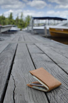 Lost wallet on boat dock - TETF02550