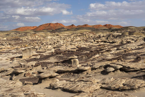 Usa, New Mexico, Bisti Wilderness, Felsformationen in der Bisti/De-Na-Zin Wilderness - TETF02558