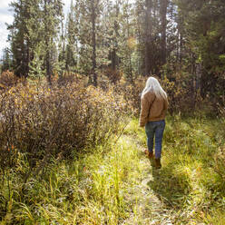 Rückansicht einer Frau, die durch den Wald geht - TETF02567