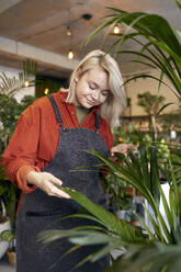 Gardener taking care of plants in store - SANF00193