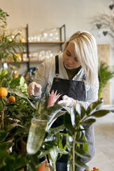 Gardener taking care of plants in shop - SANF00217