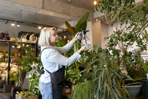 Gardener spraying water on plants in garden center - SANF00218