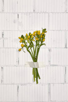 Bouquet of yellow flowers on white concrete wall - SANF00223