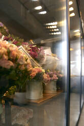 Various flowers in cold storage at shop - SANF00224