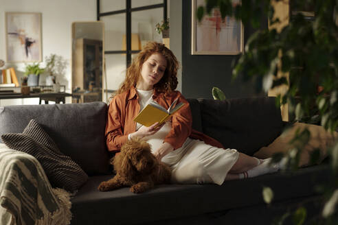 Expectant woman reading book sitting on sofa in living room - DSHF01657