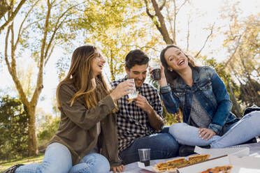 Friends at the park making a picnic - INGF12893