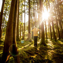 Back view of a woman in a beautiful forest - INGF12956