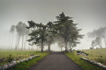 Beautiful landscape of a road on a foggy morning - INGF12975