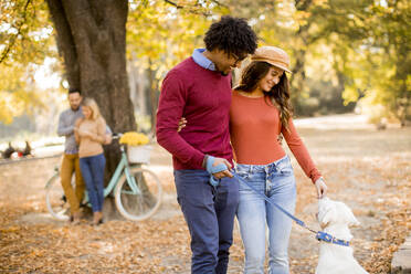 Multiracial couple walking with dog in yellow autumn park - INGF13000