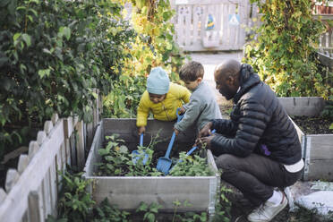 Side view of male teacher crouching near kids doing gardening at garden - MASF43128