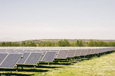 Solar panels in rows against sky at sunny day in field - MASF43268