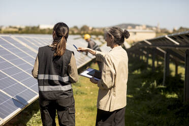 Senior female entrepreneur pointing by engineer standing near solar panels in field - MASF43284
