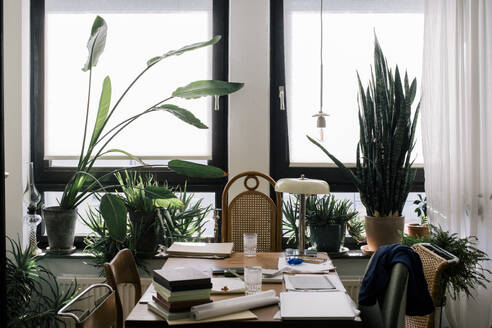 Desk with books and blueprint near window at home office - MASF43333