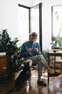 Full length of male architect talking with dog while sitting at home office - MASF43334