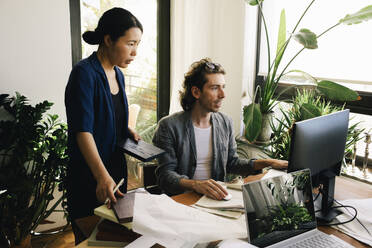 Female architect holding wooden plank while standing by male colleague using computer - MASF43359