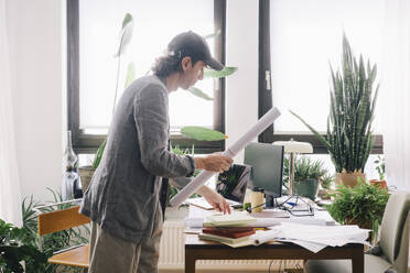 Side view of male architect holding rolled blueprint while standing at desk in home office - MASF43372