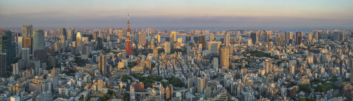 Aerial panoramic view of Tokyo downtown at sunset, Kanto region, Japan. - AAEF26169