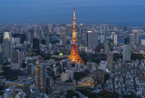 Aerial view of the Tokyo Tower in Tokyo downtown at night, Kanto region, Japan. - AAEF26170