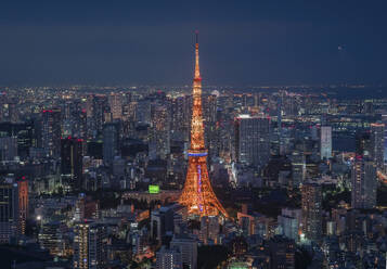 Aerial view of the Tokyo Tower in Tokyo downtown at night, Kanto region, Japan. - AAEF26172