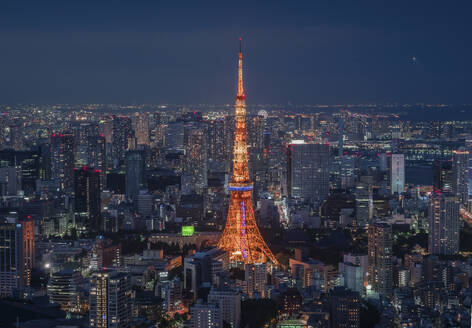 Aerial view of the Tokyo Tower in Tokyo downtown at night, Kanto region, Japan. - AAEF26172