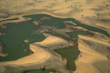 Aerial view of Pink Flamingo in the Namib Desert, Namibia. - AAEF26236