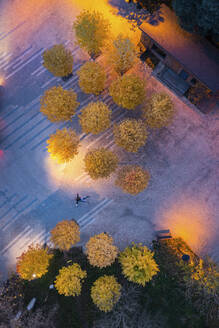 Aerial view of a person on the floor among the trees in autumn colours in Moscow, Moscow Oblast, Russia. - AAEF26356