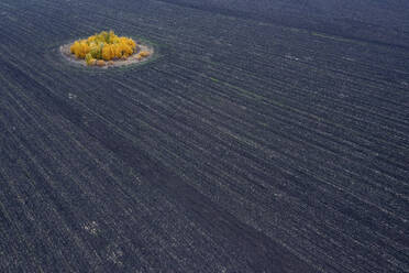 Aerial view of Lipetsk countryside, Yarlukovsky, Tula Oblast, Russia. - AAEF26373