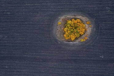 Aerial view of Lipetsk countryside, Yarlukovsky, Tula Oblast, Russia. - AAEF26374