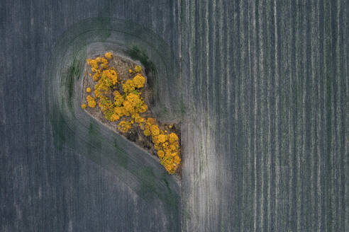 Aerial view of Lipetsk countryside, Yarlukovsky, Tula Oblast, Russia. - AAEF26380