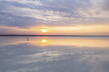 Aerial view of a person along the Elton Lake at sunset, a large salt lake with minerals in Vengelovskoe, Volgograd Oblast, Russia. - AAEF26403