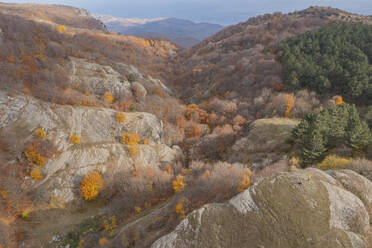 Aerial view of a hilly landscape with trees in autumn colours in Crimea Region, Autonomous Republic of Crimea, Ukraine. - AAEF26409