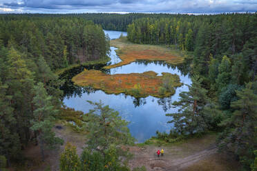 Luftaufnahme von Fluss und Waldbäumen in Herbstfarben, Ruskeala, Republik Karelien, Russland. - AAEF26471