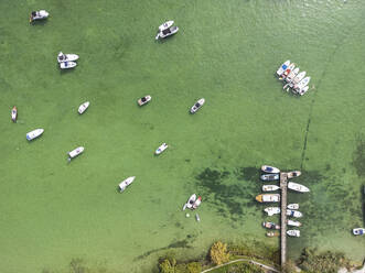Aerial View of Boats, island Ufenau, Lake Zurich, Canton of Zurich, Switzerland. - AAEF26579