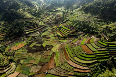 Luftaufnahme der Terrassenfelder des Dorfes Polur in der Region Tamil Nadu, Kodai Kanal, Indien. - AAEF26585