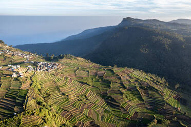 Luftaufnahme des Dorfes Polur mit Terrassenfeldern in der Region Tamil Nadu, Kodai Kanal, Indien. - AAEF26586