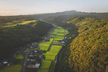 Luftaufnahme der Reisfelder der Stadt Furueda bei Sonnenaufgang, Kashima, Präfektur Saga, Kyushu, Japan. - AAEF26626