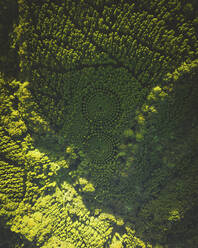 Luftaufnahme eines kreisförmigen, künstlichen Waldes, Teil eines Experiments, Nichinan, Präfektur Miyazaki, Kyushu, Japan. - AAEF26689