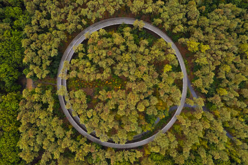 Aerial drone view of Fietsen door de Bomen, a walking and cycling path in the trees, Hechtel-Eksel, Limburg, Belgium. - AAEF26765