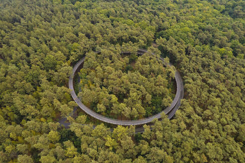 Drohnenaufnahme von Fietsen door de Bomen, einem Wander- und Radweg in den Bäumen, Hechtel-Eksel, Limburg, Belgien. - AAEF26766