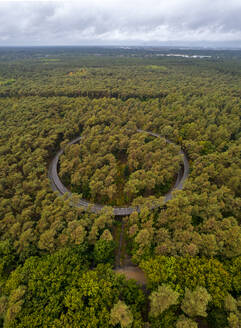 Aerial drone view of Fietsen door de Bomen, a walking and cycling path in the trees, Hechtel-Eksel, Limburg, Belgium. - AAEF26768