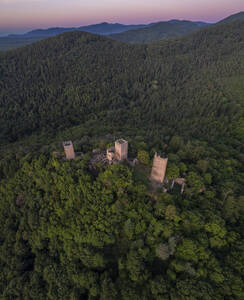 Drohnenaufnahme der drei Schlösser von Eguisheim inmitten grüner Natur, Husseren les Châteaux, Haut Rhin, Frankreich. - AAEF26779