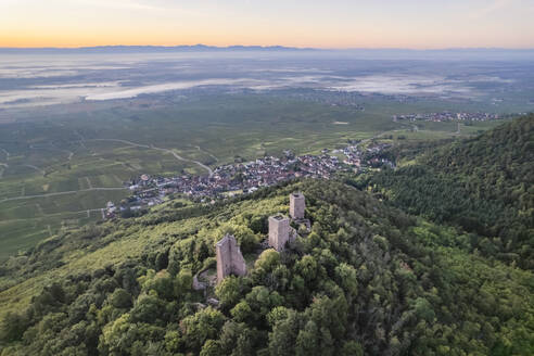 Drohnenaufnahme der drei Schlösser von Eguisheim inmitten grüner Natur, Husseren les Châteaux, Haut Rhin, Frankreich. - AAEF26780