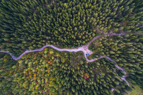 Luftaufnahme des Kiefernwaldes in Velika Planina, Kamnik, Slowenien. - AAEF26812