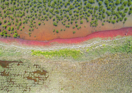 Drohnenaufnahme der Thornlands-Mangroven in der Moreton Bay in der Nähe von Brisbane, Australien. - AAEF26835