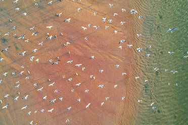 Luftaufnahme einer Drohne von Noosa North Shore im Bundesstaat Queensland in Australien. - AAEF26839